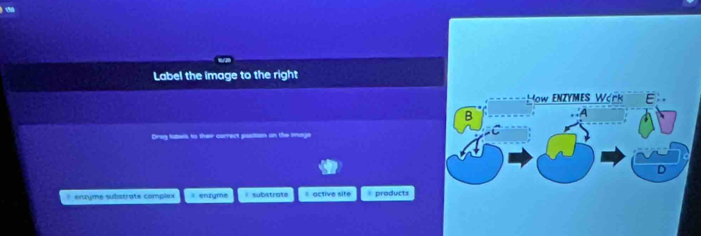 Label the image to the right
Drog labels to their currect position on the image
# enzyme substrate complex * enzyme θ substrote active site products