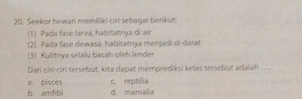 Seekor hewan memiliki ciri sebagai berikut:
(1) Pada fase larva, habitatnya di aír
(2) Pada fase dewasa, habitatnya menjadi di darat
(3) Kulitnya selalu basah oleh lender
Dari ciri-ciri tersebut, kita dapat memprediksi kelas tersebut adalah .....
a. pisces c. reptilia
b. amfibi d. mamalia