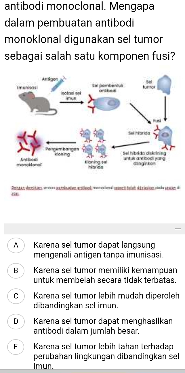 antibodi monoclonal. Mengapa
dalam pembuatan antibodi
monoklonal digunakan sel tumor
sebagai salah satu komponen fusi?
mn
A Karena sel tumor dapat langsung
mengenali antigen tanpa imunisasi.
B Karena sel tumor memiliki kemampuan
untuk membelah secara tidak terbatas.
C Karena sel tumor lebih mudah diperoleh
dibandingkan sel imun.
D Karena sel tumor dapat menghasilkan
antibodi dalam jumlah besar.
E Karena sel tumor lebih tahan terhadap
perubahan lingkungan dibandingkan sel
imun.