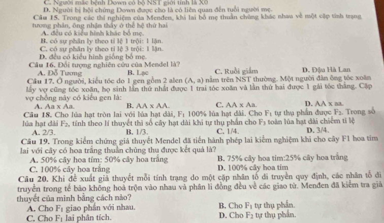 C. Người màc bênh Down có bộ NST giới tinh là X0
D. Người bị hội chứng Down được cho là có liên quan đến tuổi người mẹ.
Cầu 15. Trong các thí nghiệm của Menden, khì lai bố mẹ thuần chủng khác nhau về một cặp tính trạng
tương phản, ông nhận thầy ở thể hệ thứ hai
A. đều có kiểu hình khác bố mẹ.
B. có sự phân ly theo tỉ lệ 1 trội: 1 lặn
C. có sự phân ly theo tỉ lệ 3 trội: 1 lặn.
D. đều có kiểu hình giống bố mẹ.
Câu 16. Đối tượng nghiên cửu của Mendel là?
A. Đỗ Tương B. Lạc C. Ruồi giấm D. Đậu Hà Lan
Cầu 17. Ở người, kiểu tóc do 1 gen gồm 2 alen (A,a) nằm trên NST thường. Một người đàn ông tốc xoãn
lấy vợ cũng tóc xoãn, họ sinh lần thứ nhất được 1 trai tóc xoăn và lần thứ hai được 1 gái tóc thắng. Cặp
vợ chồng này có kiểu gen là: D. AA x aa.
A. Aa x Aa. B, AA* AA. C. AA* Aa.
Cầu 18. Cho lúa hạt tròn lai với lúa hạt dài, F_1 100% lủa hạt dài. Cho F_1 tự thụ phần được F_2. Trong số
lúa hạt đài F_2 , tính theo lí thuyết thì số cây hạt dài khi tự thụ phần cho F_3 toàn lúa hạt dài chiếm tǐ lệ
A. 2/3. B. 1/3. C. 1/4. D. 3/4.
Câu 19. Trong kiểm chứng giả thuyết Mendel đã tiến hành phép lai kiểm nghiệm khi cho cây F1 hoa tím
lai với cây có hoa trắng thuần chủng thu được kết quả là?
A. 50% cây hoa tím: 50% cây hoa trắng B. 75% cây hoa tím:25% cây hoa trắng
C. 100% cây hoa trắng D. 100% cây hoa tím
Câu 20. Khi đề xuất giả thuyết mỗi tính trạng do một cặp nhân tố di truyền quy định, các nhân tố di
truyền trong tế bào không hoà trộn vào nhau và phân li đồng đều về các giao tử. Menđen đã kiểm tra giả
thuyết của mình bằng cách nào?
A. Cho F_1 giao phần với nhau. B. Cho F_1 tự thụ phần.
C. Cho F_1 lai phân tích. D. Cho F_2 tự thụ phần.