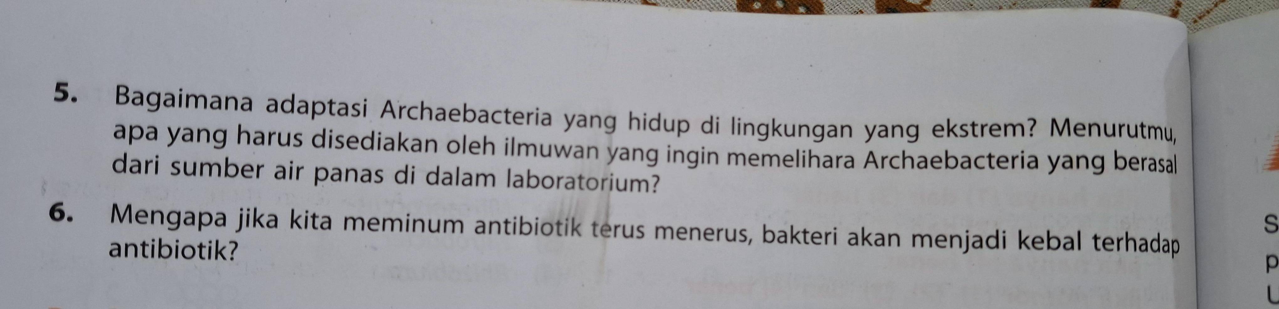 Bagaimana adaptasi Archaebacteria yang hidup di lingkungan yang ekstrem? Menurutmu, 
apa yang harus disediakan oleh ilmuwan yang ingin memelihara Archaebacteria yang berasal 
dari sumber air panas di dalam laboratorium? 
s 
6. Mengapa jika kita meminum antibiotik terus menerus, bakteri akan menjadi kebal terhadap 
antibiotik? 
p