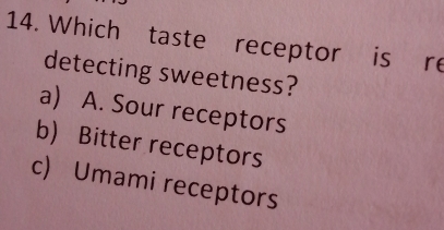 Which taste receptor is re
detecting sweetness?
a) A. Sour receptors
b) Bitter receptors
c) Umami receptors