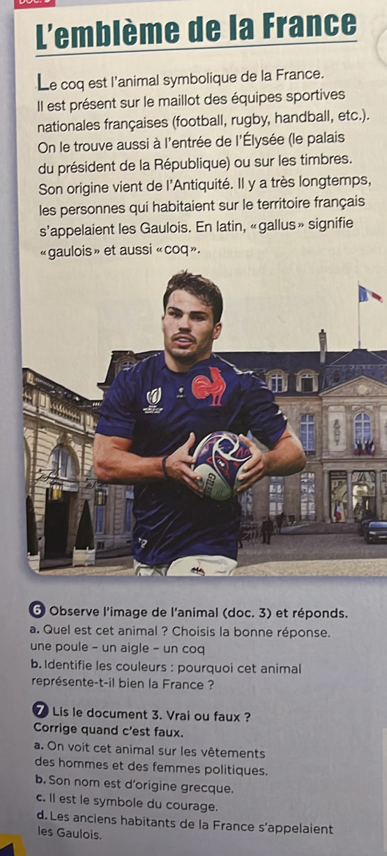 L'emblème de la France
Le coq est l'animal symbolique de la France.
Il est présent sur le maillot des équipes sportives
nationales françaises (football, rugby, handball, etc.).
On le trouve aussi à l'entrée de l'Élysée (le palais
du président de la République) ou sur les timbres.
Son origine vient de l'Antiquité. Il y a très longtemps,
les personnes qui habitaient sur le territoire français
s’appelaient les Gaulois. En latin, «gallus» signifie
«gaulois» et aussi «coq».
6 Observe l'image de l'animal (doc. 3) et réponds.
a. Quel est cet animal ? Choisis la bonne réponse.
une poule - un aigle - un coq
b. Identifie les couleurs : pourquoi cet animal
représente-t-il bien la France ?
⑦ Lis le document 3. Vrai ou faux ?
Corrige quand c'est faux.
a. On voit cet animal sur les vêtements
des hommes et des femmes politiques.
b. Son nom est d'origine grecque.
c. Il est le symbole du courage.
d. Les anciens habitants de la France s'appelaient
les Gaulois.