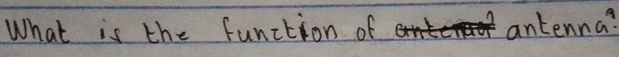 What is the function of 
antenna?