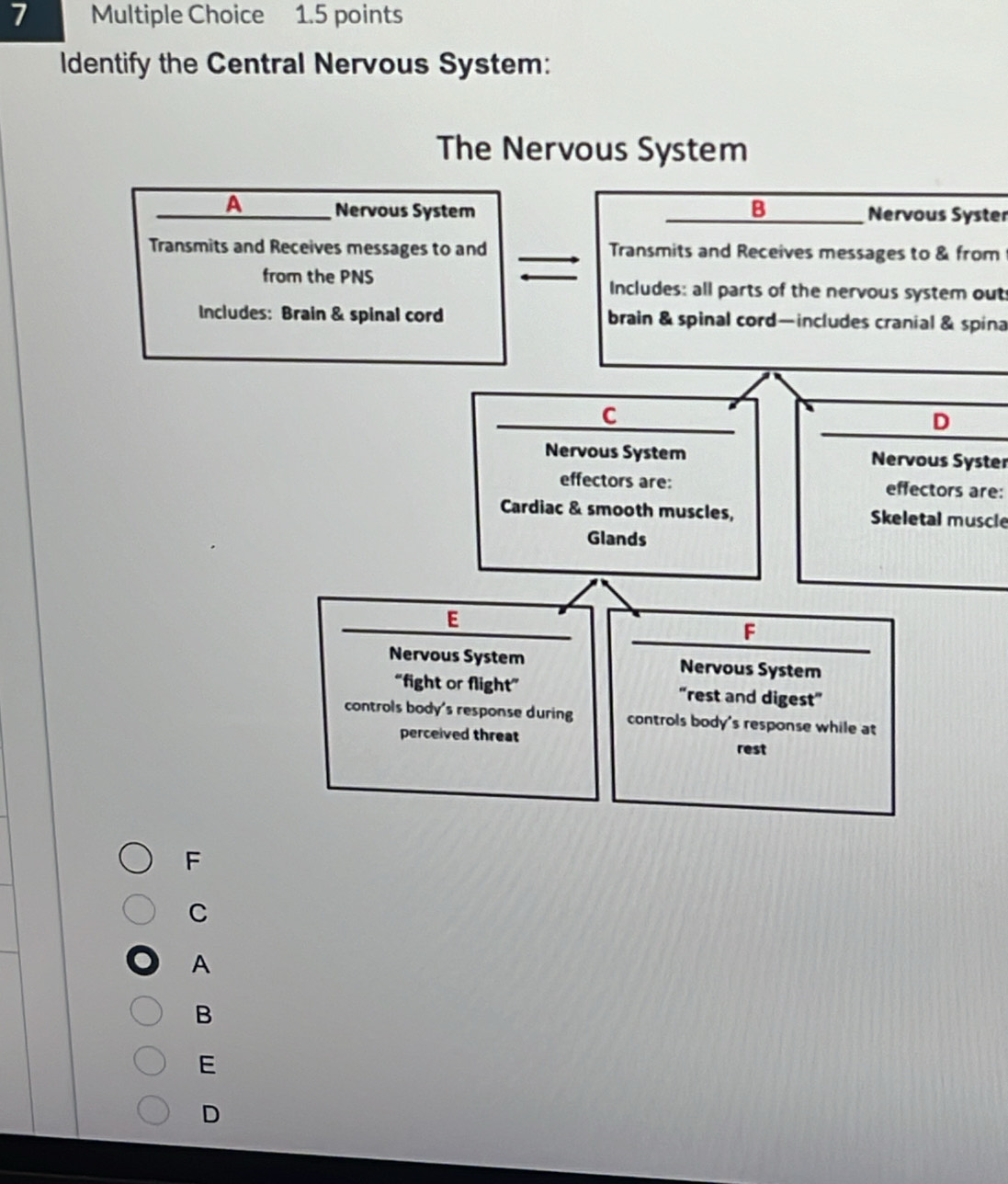 Identify the Central Nervous System:
The Nervous System
A Nervous System B Nervous Syster
Transmits and Receives messages to and Transmits and Receives messages to & from
from the PNS Includes: all parts of the nervous system out
Includes: Brain & spinal cord brain & spinal cord—includes cranial & spina
C
D
Nervous System Nervous Syster
effectors are: effectors are:
Cardiac & smooth muscles, Skeletal muscle
Glands
E
F
Nervous System Nervous System
“fight or flight” “rest and digest”
controls body's response during controls body's response while at
perceived threat rest
F
C
A
B
E
D