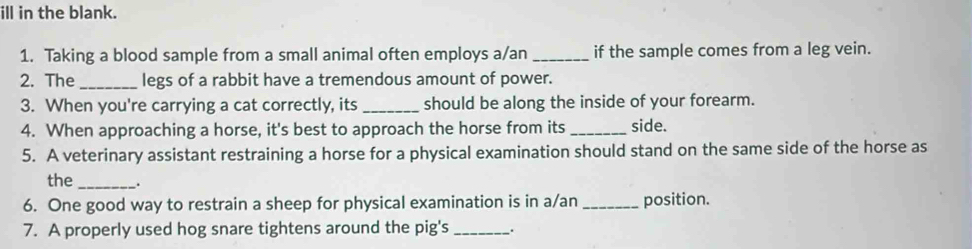 ill in the blank. 
1. Taking a blood sample from a small animal often employs a/an_ if the sample comes from a leg vein. 
2. The _legs of a rabbit have a tremendous amount of power. 
3. When you're carrying a cat correctly, its _should be along the inside of your forearm. 
4. When approaching a horse, it's best to approach the horse from its _side. 
5. A veterinary assistant restraining a horse for a physical examination should stand on the same side of the horse as 
the_ . 
6. One good way to restrain a sheep for physical examination is in a/an_ position. 
7. A properly used hog snare tightens around the pig's _.