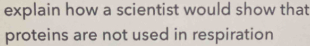 explain how a scientist would show that 
proteins are not used in respiration