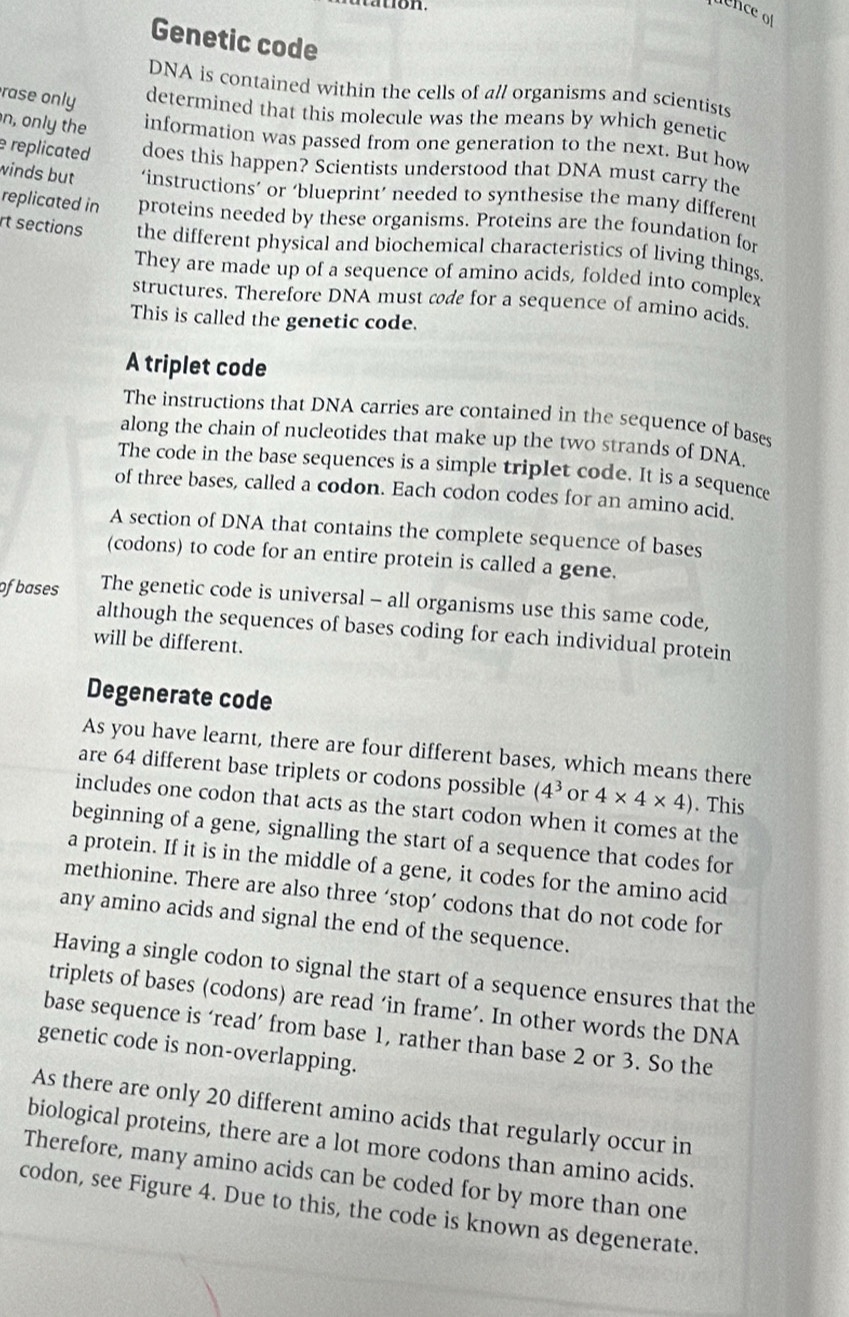 lnce of
Genetic code
DNA is contained within the cells of al/ organisms and scientists
rase only determined that this molecule was the means by which genetic
n, only the information was passed from one generation to the next. But how
replicated does this happen? Scientists understood that DNA must carry the
winds but ‘instructions’ or ‘blueprint’ needed to synthesise the many different
replicated in proteins needed by these organisms. Proteins are the foundation for
rt sections the different physical and biochemical characteristics of living things,
They are made up of a sequence of amino acids, folded into complex
structures. Therefore DNA must code for a sequence of amino acids.
This is called the genetic code.
A triplet code
The instructions that DNA carries are contained in the sequence of bases
along the chain of nucleotides that make up the two strands of DNA.
The code in the base sequences is a simple triplet code. It is a sequence
of three bases, called a codon. Each codon codes for an amino acid.
A section of DNA that contains the complete sequence of bases
(codons) to code for an entire protein is called a gene.
ofbases The genetic code is universal - all organisms use this same code,
although the sequences of bases coding for each individual protein
will be different.
Degenerate code
As you have learnt, there are four different bases, which means there
are 64 different base triplets or codons possible (4^3 or 4* 4* 4). This
includes one codon that acts as the start codon when it comes at the
beginning of a gene, signalling the start of a sequence that codes for
a protein. If it is in the middle of a gene, it codes for the amino acid
methionine. There are also three ‘stop’ codons that do not code for
any amino acids and signal the end of the sequence.
Having a single codon to signal the start of a sequence ensures that the
triplets of bases (codons) are read ‘in frame’. In other words the DNA
base sequence is ‘read’ from base 1, rather than base 2 or 3. So the
genetic code is non-overlapping.
As there are only 20 different amino acids that regularly occur in
biological proteins, there are a lot more codons than amino acids.
Therefore, many amino acids can be coded for by more than one
codon, see Figure 4. Due to this, the code is known as degenerate.