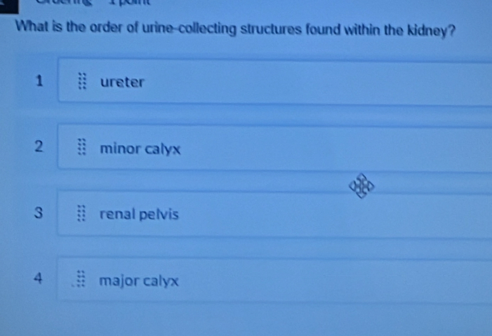 Solved: What is the order of urine-collecting structures found within ...