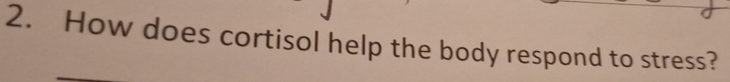 How does cortisol help the body respond to stress?