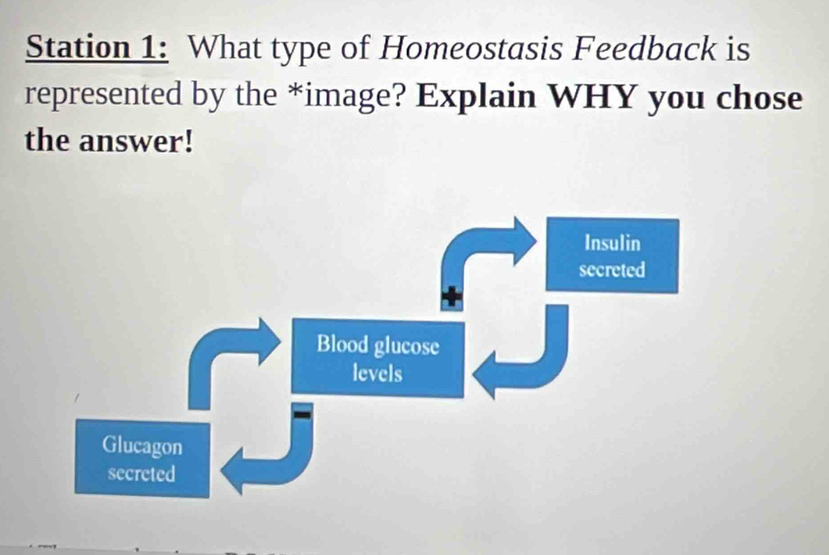 Station 1: What type of Homeostasis Feedback is 
represented by the *image? Explain WHY you chose 
the answer!