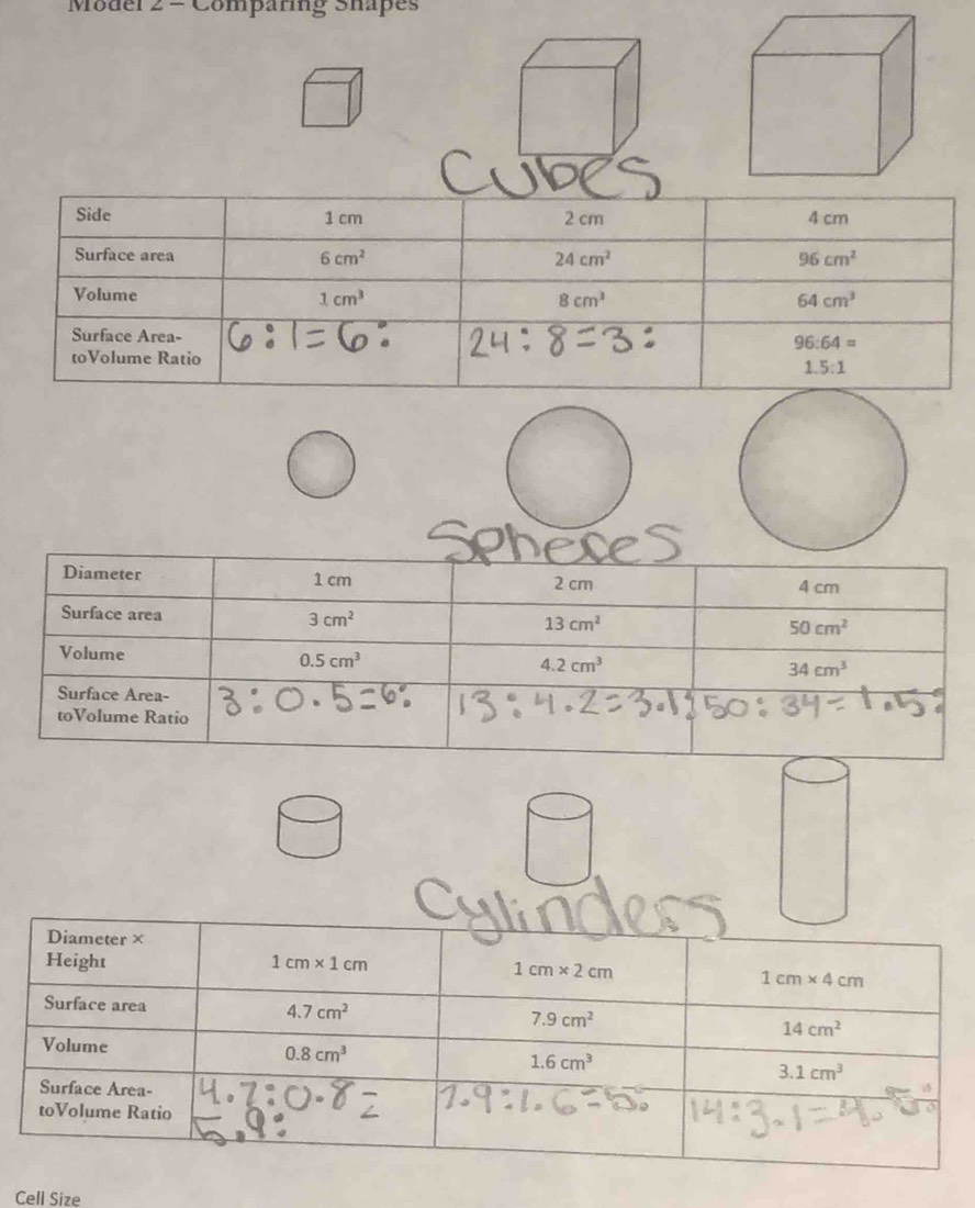 Moder 2 = Comparng Shapes
Cell Size