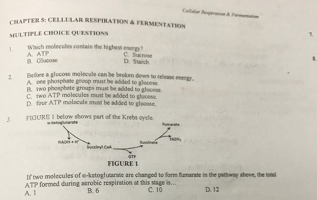 Cellular Respiration & Fermentation
CHAPTER 5: CELLULAR RESPIRATION & FERMENTATION
MULTIPLE CHOICE QUESTIONS 7.
1. Which molecules contain the highest energy?
A. ATP
C. Sucrose
B. Glucose D. Starch
8.
2. Before a glucose molecule can be broken down to release energy,
A. one phosphate group must be added to glucose.
B. two phosphate groups must be added to glucose.
C. two ATP molecules must be added to glucose.
D. four ATP molecule must be added to glucose.
3. FIGURE 1 below shows part of the Krebs cycle.
If two molecules of α-ketoglutarate are changed to form fumarate in the pathway above, the total
ATP formed during aerobic respiration at this stage is...
A. 1 B. 6 C. 10 D. 12