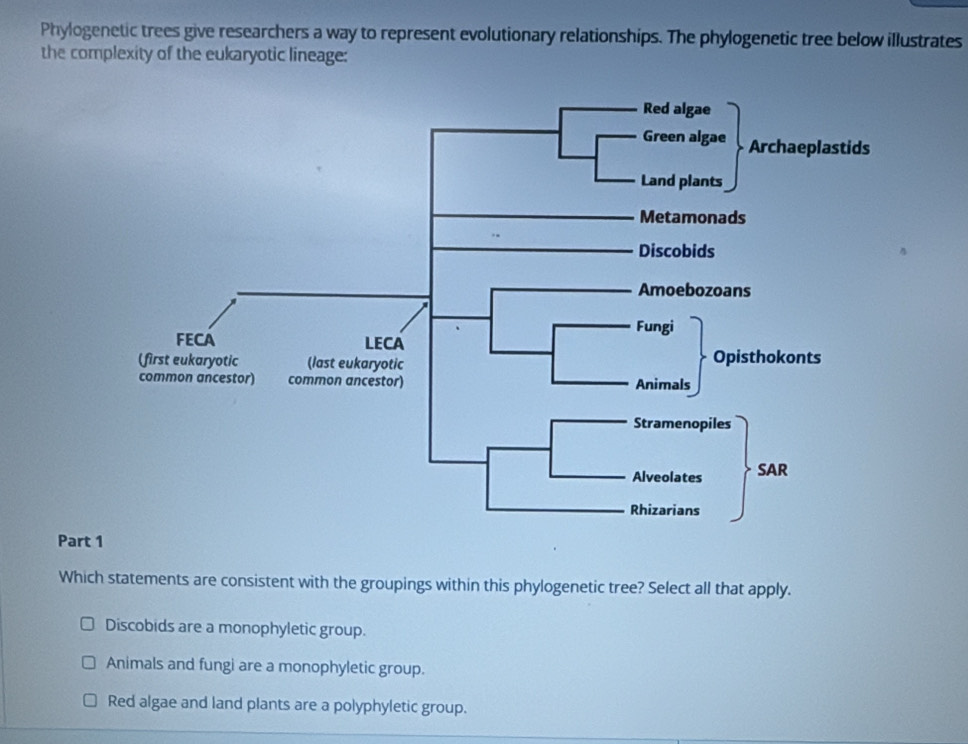 Phylogenetic trees give researchers a way to represent evolutionary relationships. The phylogenetic tree below illustrates
the complexity of the eukaryotic lineage:
Part 1
Which statements are consistent with the groupings within this phylogenetic tree? Select all that apply.
Discobids are a monophyletic group.
Animals and fungi are a monophyletic group.
Red algae and land plants are a polyphyletic group.