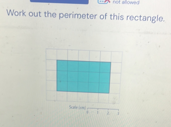 not allowed 
Work out the perimeter of this rectangle. 
Scale (cm