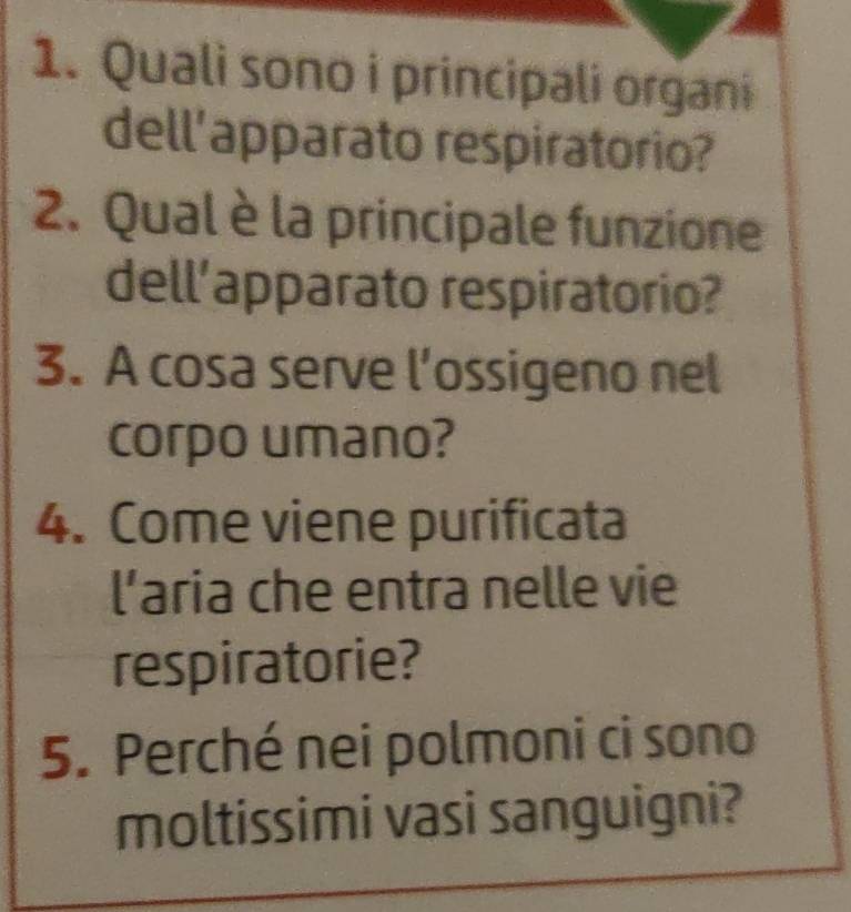 Quali sono i principali organi 
dell'apparato respiratorio? 
2. Qual è la principale funzione 
dell’apparato respiratorio? 
3. A cosa serve l’ossigeno nel 
corpo umano? 
4. Come viene purificata 
l’aria che entra nelle vie 
respiratorie? 
5. Perché nei polmoni ci sono 
moltissimi vasi sanguigni?