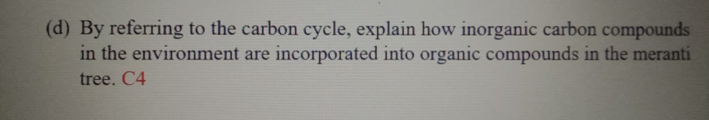 By referring to the carbon cycle, explain how inorganic carbon compounds 
in the environment are incorporated into organic compounds in the meranti 
tree. C4