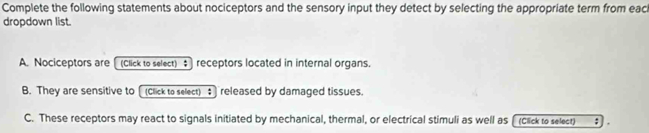 Complete the following statements about nociceptors and the sensory input they detect by selecting the appropriate term from eac 
dropdown list. 
A. Nociceptors are [ (click to select) $ receptors located in internal organs. 
B. They are sensitive to [ (Click to select) ‡ released by damaged tissues. 
C. These receptors may react to signals initiated by mechanical, thermal, or electrical stimuli as well as [(click to select) :