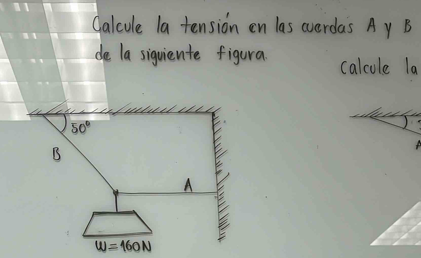 Calcule la tension on las wverdas A y B
de la siquiente figura.
calcule la