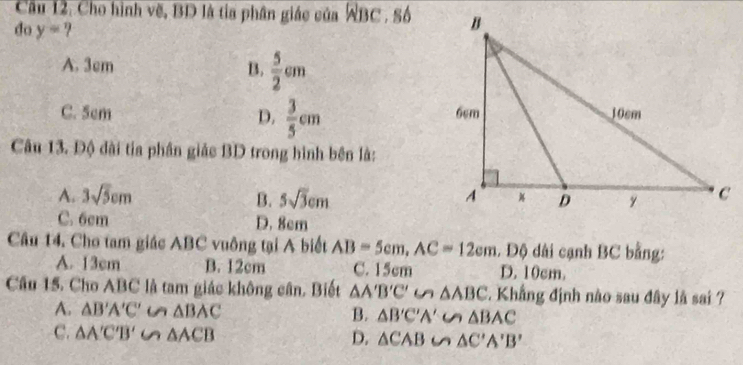 Cầu 12. Cho hình vẽ, BD là tia phân giác của WBC. Số
do y= ?
A. 3cm
B.  5/2 cm
C. 5cm D.  3/5 cm
Câu 13. Độ đài tia phần giảc BD trong hình bên là:
A. 3sqrt(5)cm B. 5sqrt(3)cm
C. 6cm D. 8cm
Câu 14. Cho tam giác ABC vuông tại A biết AB=5cm, AC=12cm. Độ dài cạnh BC bằng:
A. 13cm B. 12cm C. 15cm D. 10cm.
Cầu 15. Cho ABC là tam giác không cân. Biết △ A'B'C' △ ABC 7. Khẳng định nào sau đây là sai ?
A. △ B'A'C'∽ △ BAC B. △ B'C'A'∪ △ BAC
C. △ A'C'B'∽ △ ACB D. △ CAB∽ △ C'A'B'