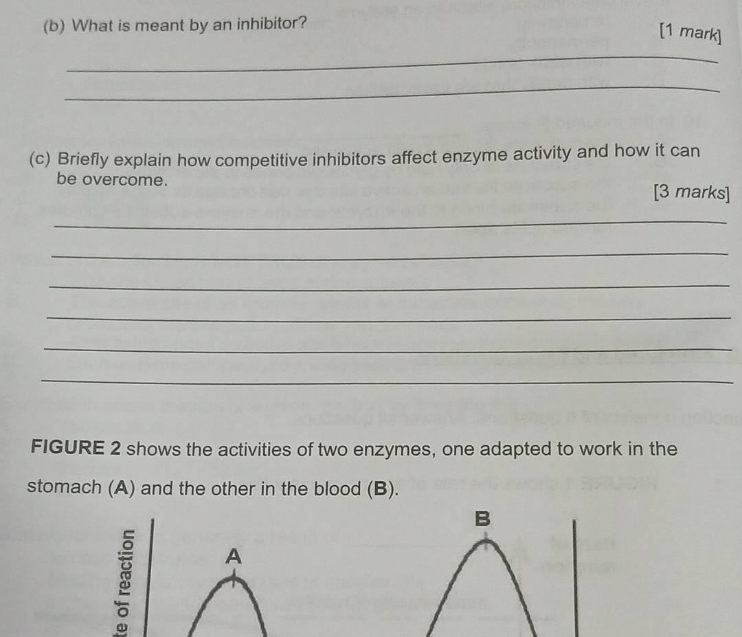 What is meant by an inhibitor? 
[1 mark] 
_ 
_ 
(c) Briefly explain how competitive inhibitors affect enzyme activity and how it can 
be overcome. 
[3 marks] 
_ 
_ 
_ 
_ 
_ 
_ 
FIGURE 2 shows the activities of two enzymes, one adapted to work in the 
stomach (A) and the other in the blood (B). 
B 
A