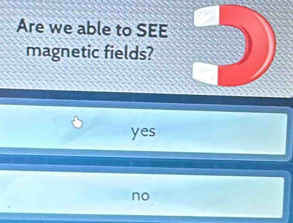 Are we able to SEE
magnetic fields?
yes
no