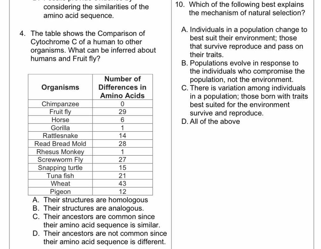 considering the similarities of the 10. Which of the following best explains
amino acid sequence.
the mechanism of natural selection?
4. The table shows the Comparison of
A. Individuals in a population change to
best suit their environment; those
Cytochrome C of a human to other
organisms. What can be inferred about
that survive reproduce and pass on
their traits.
humans and Fruit fly?
B. Populations evolve in response to
the individuals who compromise the
population, not the environment.
C. There is variation among individuals
in a population; those born with traits
best suited for the environment
survive and reproduce.
D. All of the above
A. Their structures are homologous
B. Their structures are analogous.
C. Their ancestors are common since
their amino acid sequence is similar.
D. Their ancestors are not common since
their amino acid sequence is different.