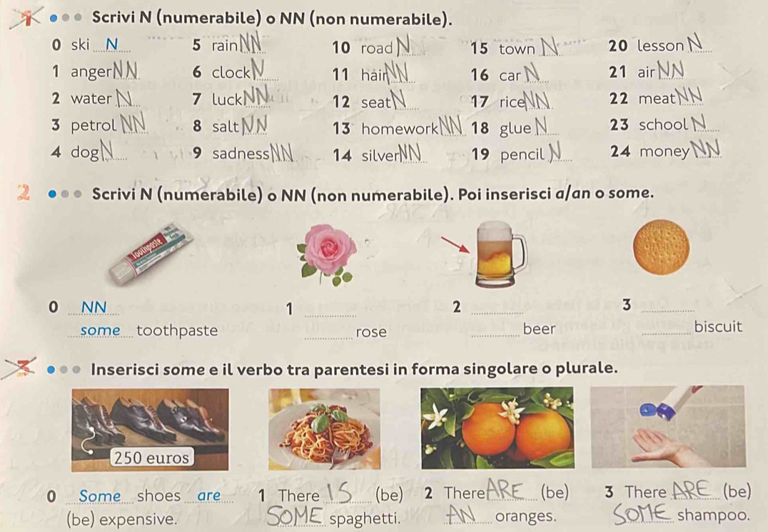 Scrivi N (numerabile) o NN (non numerabile). 
0 ski N 5 10 road 15 town 20 less
21
1 anger 6 C 11 hàn 16 car air
2 water 7 luck 12 seat 17 rice
22 meat_ 
3 petrol 8 salt 13 homework 18 glue_ 23 school_ 
4 dog 9 sadness 14 silver 19 pencil _ 4 mone 
2 Scrivi N (numerabile) o NN (non numerabile). Poi inserisci a/an o some. 
0 _NN 1 _ 2 _ 3 _ 
some.... toothpaste _rose _beer _biscuit 
Inserisci some e il verbo tra parentesi in forma singolare o plurale. 
0 Some shoes are 1 There _(be) 2 There_ (be) 3 There _(be) 
(be) expensive. spaghetti. _oranges. _shampoo.