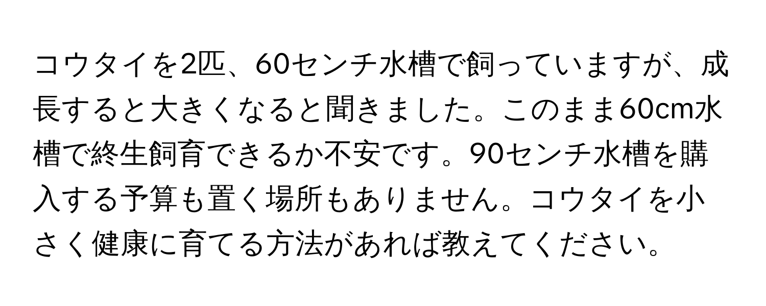 コウタイを2匹、60センチ水槽で飼っていますが、成長すると大きくなると聞きました。このまま60cm水槽で終生飼育できるか不安です。90センチ水槽を購入する予算も置く場所もありません。コウタイを小さく健康に育てる方法があれば教えてください。