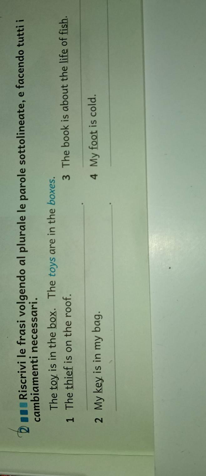 2 ■■ª Riscrivi le frasi volgendo al plurale le parole sottolineate, e facendo tutti i 
cambiamenti necessari. 
The toy is in the box. The toys are in the boxes. 
1 The thief is on the roof. 3 The book is about the life of fish. 
_. 
_ 
_ 
2 My key is in my bag. 4 My foot is cold. 
_.