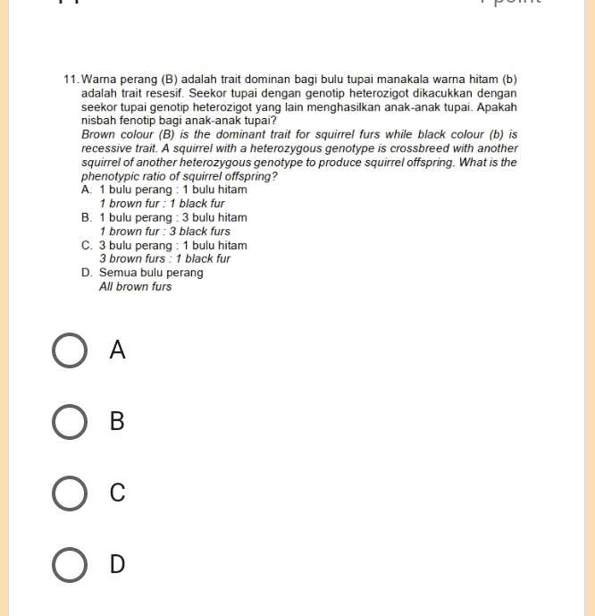 Warna perang (B) adalah trait dominan bagi bulu tupai manakala warna hitam (b)
adalah trait resesif. Seekor tupai dengan genotip heterozigot dikacukkan dengan
seekor tupai genotip heterozigot yang lain menghasilkan anak-anak tupai. Apakah
nisbah fenotip bagi anak-anak tupai?
Brown colour (B) is the dominant trait for squirrel furs while black colour (b) is
recessive trait. A squirrel with a heterozygous genotype is crossbreed with another
squirrel of another heterozygous genotype to produce squirrel offspring. What is the
phenotypic ratio of squirrel offspring?
A. 1 bulu perang : 1 bulu hitam
1 brown fur : 1 black fur
B. 1 bulu perang : 3 bulu hitam
1 brown fur : 3 black furs
C. 3 bulu perang : 1 bulu hitam
3 brown furs : 1 black fur
D. Semua bulu perang
All brown furs
A
B
C
D