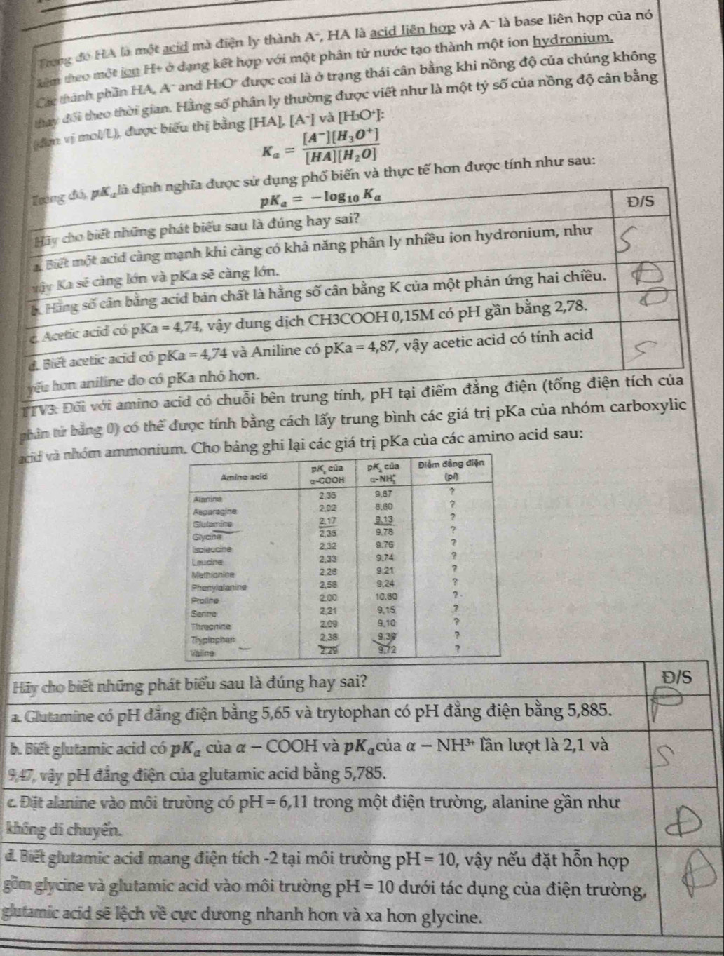 Trong đo HA là một acid mà điện ly thành A-, HA là acid liên hợp và A- là base liên hợp của nó
kêm theo một jon H+ ở dạng kết hợp với một phân tử nước tạo thành một ion hydronium,
Các thành phần HA, A' and H:O* được coi là ở trạng thái cân bằng khi nồng độ của chúng không
thay đổi theo thời gian. Hằng số phân ly thường được viết như là một tỷ số của nồng độ cân bằng
(đợm vị mol/L), được biểu thị bằng [HA],[A^-] và [H_3O^+].
K_a=frac [A^-][H_3O^+][HA][H_2O]
Trong đó, pK là định nghĩa được sử dụng phố biến và thực tế hơn được tính như sau:
pK_a=-log _10K_a
Đ/S
Hãy cho biết những phát biểu sau là đúng hay sai?
# Biết một acid càng mạnh khi càng có khả năng phân ly nhiều ion hydronium, như
vậv Ka sẽ càng lớn và pKa sẽ càng lớn,
ố Hãng số cân bằng acid bản chất là hằng số cân bằng K của một phản ứng hai chiều.
c. Acetic acid có pKa =4,74 3, vậy dung dịch CH3COOH 0,15M có pH gần bằng 2,78.
d. Biết acetic acid có pKa=4,74 và Aniline có pK a=4,87 , vậy acetic acid có tính acid
yếu hơn aniline do có pKa nhỏ hơn.
TTV3: Đối với amino acid có chuỗi bên trung tính, pH tại điểm đẳng điện (tổng điện tích của
phân tử bằng 0) có thể được tính bằng cách lấy trung bình các giá trị pKa của nhóm carboxylic
acid và nhóm ammoni bảng ghi lại các giá trị pKa của các amino acid sau:
Hãy cho biết những phát biểu sau là đúng hay sai?
Đ/S
a. Glutamine có pH đẳng điện bằng 5,65 và trytophan có pH đẳng điện bằng 5,885.
b. Biết glutamic acid có pK_a của α - COOH và ph · a của α- 1 NH^(3+) lần lượt là 2,1 và
9,47, vậy pH đẳng điện của glutamic acid bằng 5,785.
c. Đặt alanine vào môi trường có pH=6,11 trong một điện trường, alanine gần như
không di chuyển.
. Biết glutamic acid mang điện tích -2 tại môi trường pH =10 , vậy nếu đặt hỗn hợp
gồm glycine và glutamic acid vào môi trường pH=10 dưới tác dụng của điện trường,
glutamic acid sẽ lệch về cực dương nhanh hơn và xa hơn glycine.