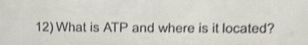 12)What is ATP and where is it located?