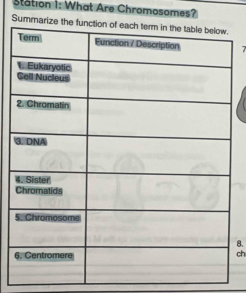 Station 1: What Are Chromosomes? 
Summari 
7 
8. 
ch