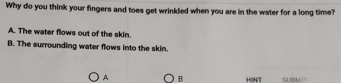 Why do you think your fingers and toes get wrinkled when you are in the water for a long time?
A. The water flows out of the skin.
B. The surrounding water flows into the skin.
A B HINT SUBM