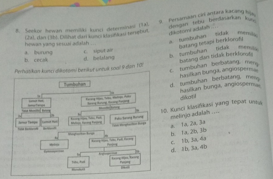 Persamaan ciri antara kacang hija
8. Seekor hewan memiliki kunci determinasi (1a), dengan tebu berdasarkan kund
(2a), dan (3b). Dilihat dari kunci klasifikasi tersębut, dikotomi adalah ....
hewan yang sesuai adalah ...
a. tumbuhan tidak memilik
batang tetapi berklorofl
a. burung c. siput air
b. tumbuhan tidak memilik
b. cecak d. belalang
batang dan tidak berklorofl
c. tumbuhan berbatang, meng
Perhatikan kunci dikotomi berikut untuk soal 9 dan 10!
hasilkan bunga, angiosperma
Tumbuhan
d. tumbuhan berbatang, meng
dikotil
Lornut Heti,
Kecang Mijau, Yebu, Melinjo, Paku hasilkan bunga, angiospermae
1b
IomurTempe Sørang Burung, Kacang Panjong
3 10. Kunci klasifkasi yang tepat untuk
Tidak Memilki Batong Memilliki Batsing
2a 2b 3
Kocang Hijet, Tebu, Padi, Paku Sarang Burung melinjo adalah ….
Jomur Tempe Lumut Hati Melin(o, Xacong Panjang
Tidak Berklorofil Beridorofl Tidak Menghasilkan Bunga
a. 1a, 2a, 3a
Menghasilkan Bunga 4
b. 1a, 2b, 3b
4o
Melinja Kacang Hijau, Tebu, Padi, Kacang
Panjang
c. 1b, 3a, 4a
Gymnasperman 50 d. 1b, 3a, 4b
So Anglaspermee
Tobu, Padi Kacang Hijau, Kacang
Panjang
Monokatil Dikotil