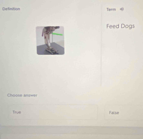 Definition Term 
Feed Dogs
Choose answer
True False