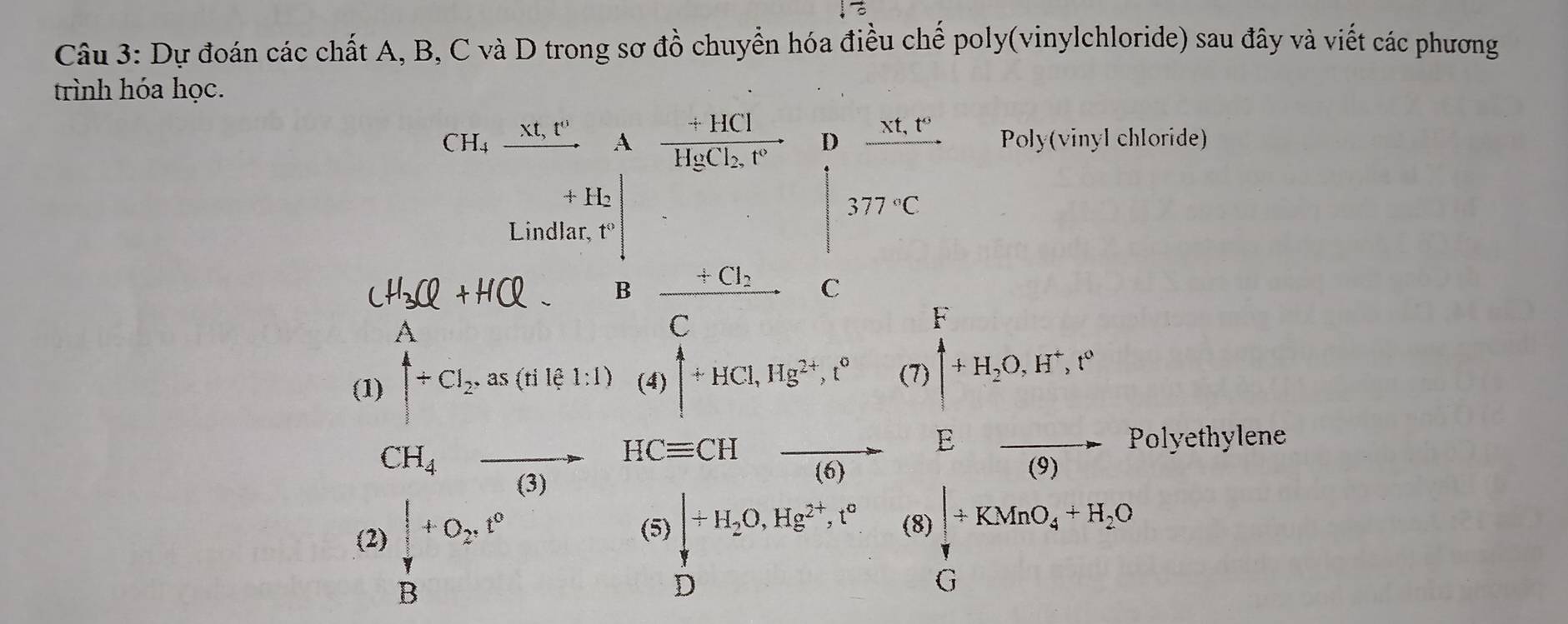 Dự đoán các chất A, B, C và D trong sơ đồ chuyển hóa điều chế poly(vinylchloride) sau đây và viết các phương 
trình hóa học. 
CH_4xrightarrow Xt_1P+^+H_H_2 frac +HClHgCl_2,t° beginarrayr _  frac (81)° 377Cendarray Poly(vinyl chloride)
· □°
B frac +Cl_2C C 
(1) beginvmatrix A +Cl_2.as(tile1:1)endvmatrix (4) uparrow +HCl, Hg^(2+), t^0 (1 ∈tlimits _ ^+H_2+H+H_2O,H^+,t^2

CH_4to (3) HCequiv CH overline (6) 3frac (9) Polyethylene 
^(I)^n)  |/B +O_2,t° beginvmatrix endvmatrix +KMn+KMnO_4+H_2O
(5) downarrow +H_2O, Hg^(2+), t° (8) 
D