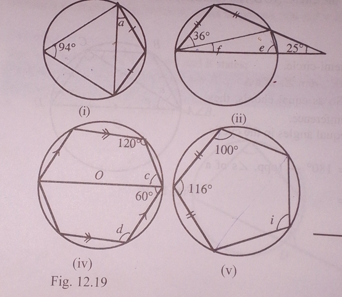 (iv)
(v)
Fig. 12.19