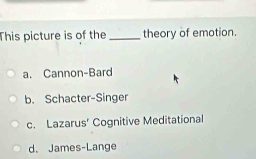 This picture is of the _theory of emotion.
a. Cannon-Bard
b. Schacter-Singer
c. Lazarus’ Cognitive Meditational
d. James-Lange