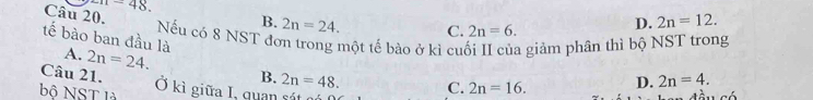 -π -48. 
Câu 20.
B. 2n=24. C. 2n=6.
D. 2n=12. 
Nếu có 8 NST đơn trong một tế bào ở kì cuối II của giảm phân thì bộ NST trong
tế bào ban đầu là A. 2n=24. 
Câu 21. B. 2n=48. C. 2n=16. D. 2n=4. 
bộ NST là Ở kì giữa I, quan sát n