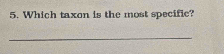 Which taxon is the most specific? 
_