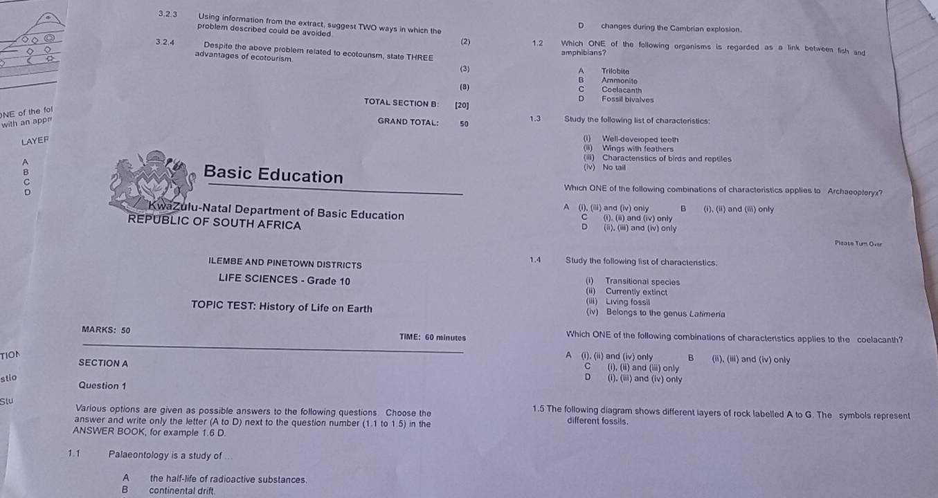 Using information from the extract, suggest TWO ways in which the D changes during the Cambrian explosion.
problem described could be avoided
(2) 1.2 Which ONE of the following organisms is regarded as a link between fish and
◇ 3.2.4 Despite the above problem related to ecotounsm, state THREE
amphibians?
advantages of ecotourism (3)
A Trilobita
B Ammonito
(8) C Coclacanth
D Fossil bivalves
TOTAL SECTION B: [20]
with an appn NE of the fo
GRAND TOTAL: 50 1.3 Study the following list of characteristics:
LAYEF (1) Well-deveioped teeth
(ii) Wings with feathers
(iii) Charactenstics of birds and reptiles
(iv) No tail
Basic Education
Which ONE of the following combinations of characteristics applies to Archaeopteryx?
A (i),(iii)
KwaZulu-Natal Department of Basic Education ) and (iv)only B (i),(ii) and (iii)on
C (i).(ii)and(iv)only
D (8),(iiii)and(iv)only
REPUBLIC OF SOUTH AFRICA Please Tur Over
ILEMBE AND PINETOWN DISTRICTS 1.4 Study the following list of characterstics.
(i) Transitional species
LIFE SCIENCES - Grade 10 (ii) Currently extinct
(iii) Living fossil
TOPIC TEST: History of Life on Earth (iv) Belongs to the genus Latimeria
MARKS:50 TIME: 60 minutes Which ONE of the following combinations of charactenstics applies to the coelacanth?
TION A (i),(ii) and(iv) only B (ii),(iii) and (iv)only
SECTION A
5 (i),(ii)a n d(iil)only
stio (i).(iii) ar d(iv)only
Question 1
Slu Various options are given as possible answers to the following questions Choose the different fossils.
1.5 The following diagram shows different layers of rock labelled A to G. The symbols represent
answer and write only the letter (A to D) next to the question number (1.1 to 1.5) in the
ANSWER BOOK, for example 1.6 D.
1.1 Palaeontology is a study of
A the half-life of radioactive substances.
B continental drift.