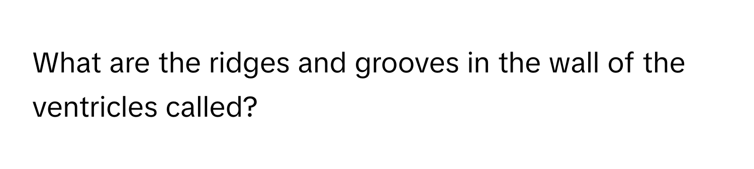 What are the ridges and grooves in the wall of the ventricles called?