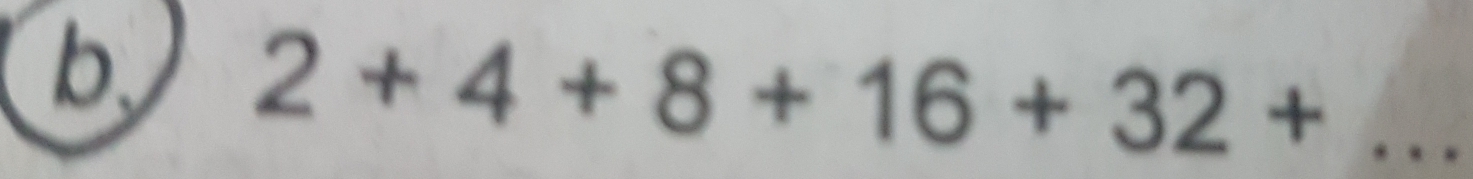 2+4+8+16+32+ _