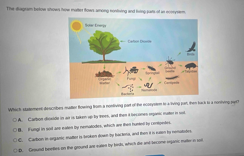 The diagram below shows how matter flows among nonliving and living parts of an ecosystem.
Which statement describes matter flowing from a nonliving part of the ecosystem to a living part, then back to a nonliving part?
A. Carbon dioxide in air is taken up by trees, and then it becomes organic matter in soil.
B. Fungi in soil are eaten by nematodes, which are then hunted by centipedes.
C. Carbon in organic matter is broken down by bacteria, and then it is eaten by nematodes.
D. Ground beetles on the ground are eaten by birds, which die and become organic matter in soil.