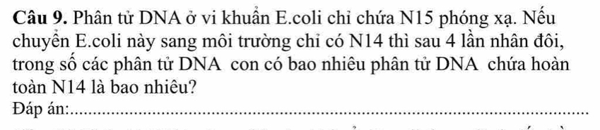 Phân tử DNA ở vi khuẩn E.coli chỉ chứa N15 phóng xạ. Nếu 
chuyển E.coli này sang môi trường chỉ có N14 thì sau 4 lần nhân đôi, 
trong số các phân tử DNA con có bao nhiêu phân tử DNA chứa hoàn 
toàn N14 là bao nhiêu? 
Đáp án:_