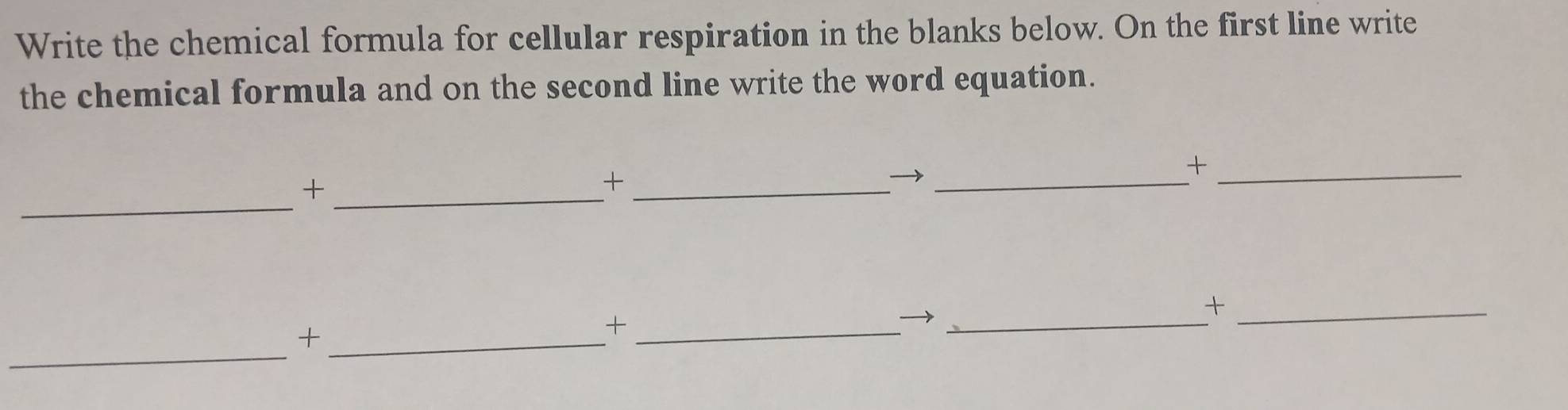 Write the chemical formula for cellular respiration in the blanks below. On the first line write 
the chemical formula and on the second line write the word equation. 
_ 
_+ 
_+ 
_+_ 
_+ 
_ 
_+ 
_+ 
_