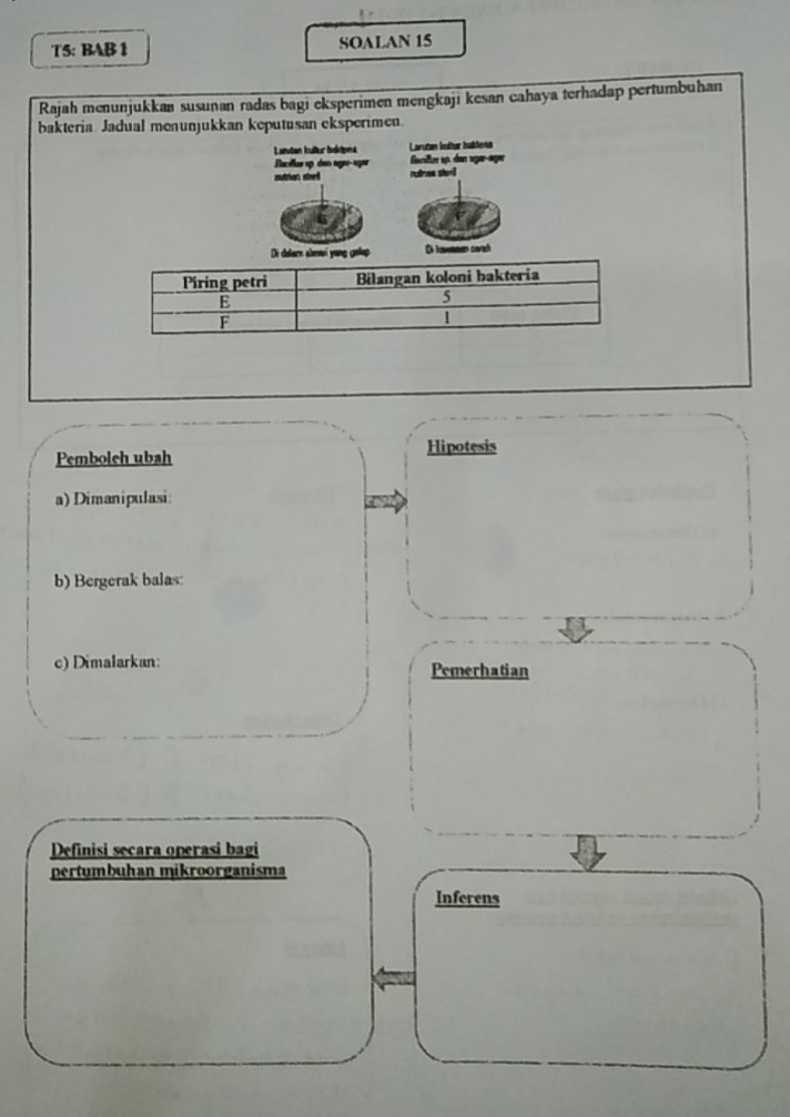 T5: BAB 1 SOALAN 15 
Rajah menunjukkan susunan radas bagi eksperimen mengkaji kesan cahaya terhadap pertumbuhan 
bakteria Jadual menunjukkan keputusan eksperimen. 
Lantan kultur boktona Larutan lultar habiens 
Racillus up den agae-agar facller sp. dan sga-agr 
mutrian stee$ nutinea ster 
rn almwi yong gelap Di havanan covash 
Pembolch ubah Hipotesis 
a) Dimanipulasi: 
b) Bergerak balas: 
c) Dimalarkan: Pemerhatian 
Definisi secara operasi bagi 
pertumbuhan mikroorganisma 
Inferens