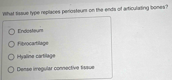 What tissue type replaces periosteum on the ends of articulating bones?
Endosteum
Fibrocartilage
Hyaline cartilage
Dense irregular connective tissue